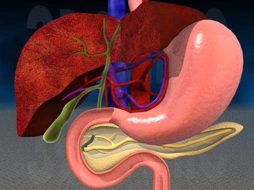 Surgical steps, operational points and difficulties in laparoscopic cholecystectomy